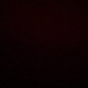 Meet your Posher, Alvin